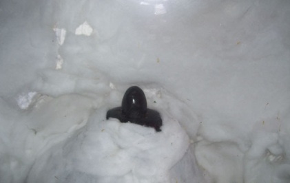 kedarnath-jyotirlinga
