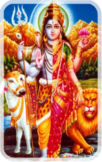 Shiva-Shakti